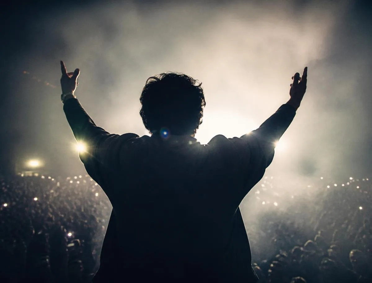 Performer seen from behind facing a lit crowd